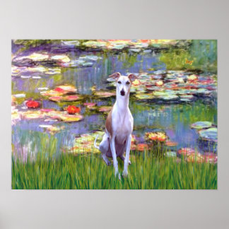 Whippet (brown-white) - Lilies 2 Poster