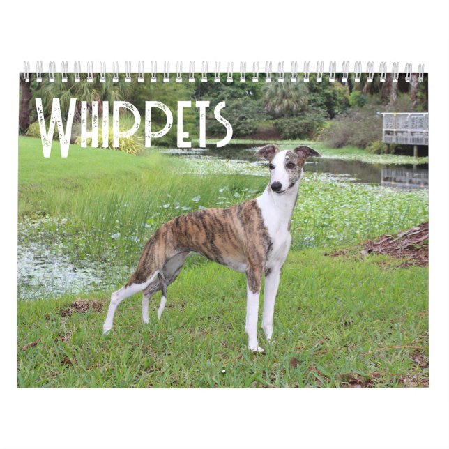 Whippet Calendar  (Cover)