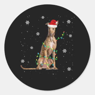 Whippet Christmas Light Cute Santa Whippet Xmas Classic Round Sticker