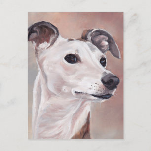 Whippet Dog Art Postcard