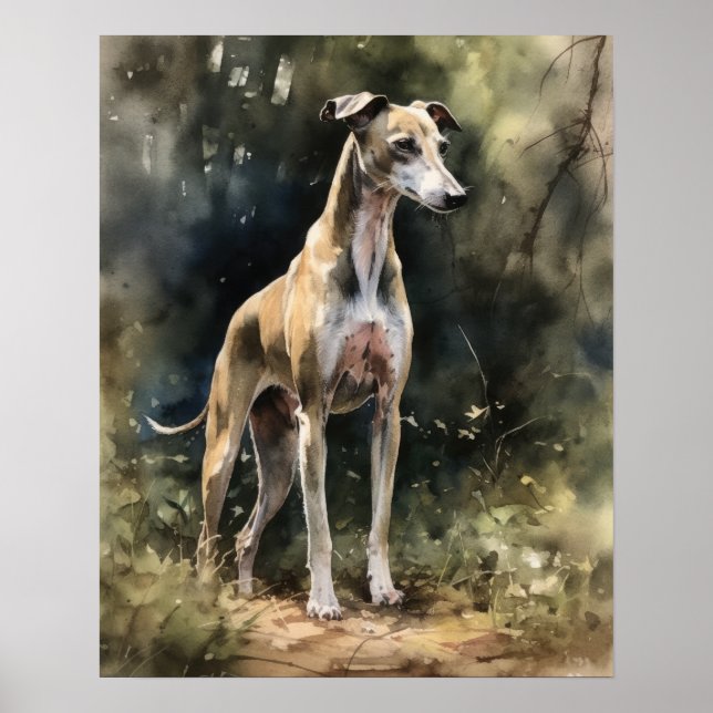 Whippet Dog Art Print Poster (Front)