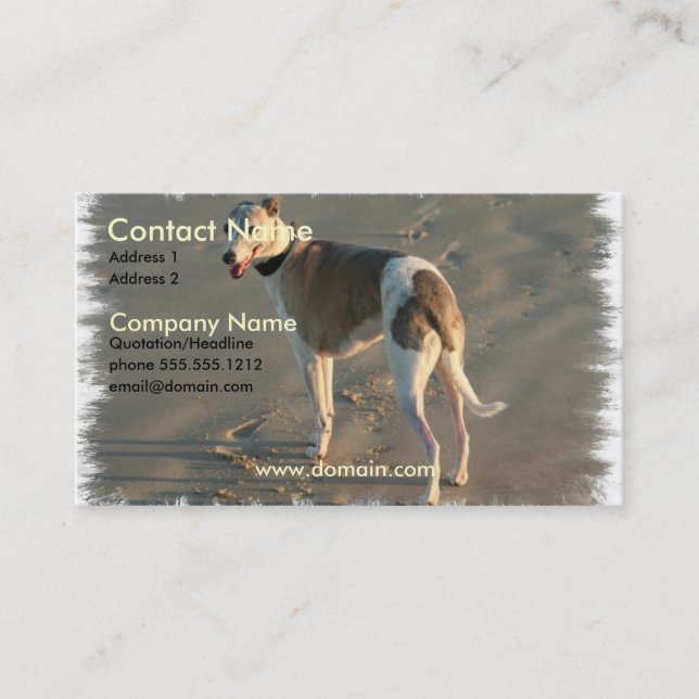 Whippet Dog Business Card (Front)