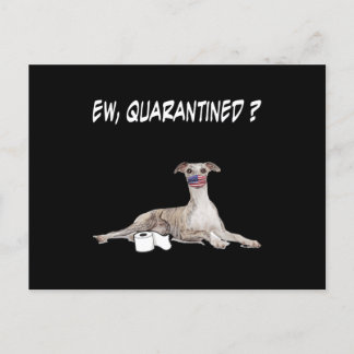Whippet Dog Ew Quarantined Dog Wearing A Face Mask Holiday Postcard