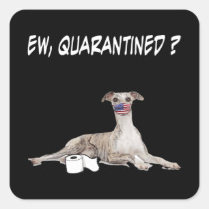 Whippet Dog Ew Quarantined Dog Wearing A Face Mask Square Sticker