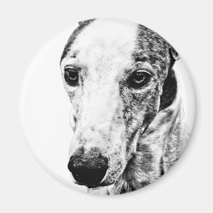 Whippet dog magnet