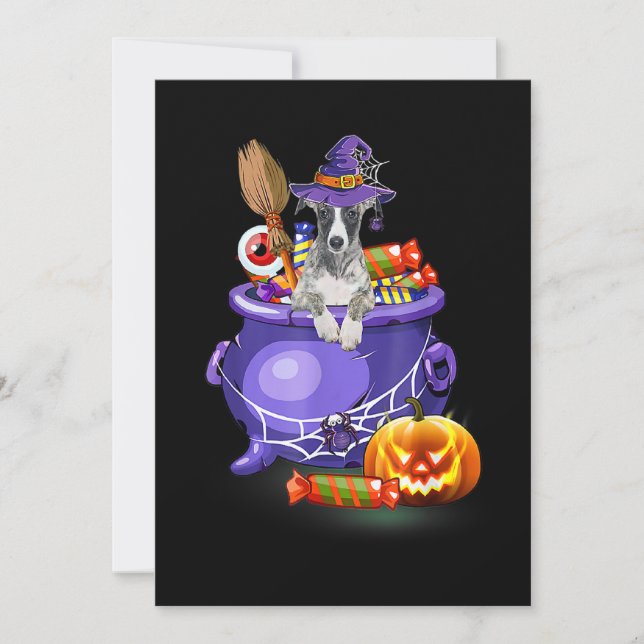 Whippet Dog With Witch Hat Candy Pumpkin Halloween Holiday Card (Front)