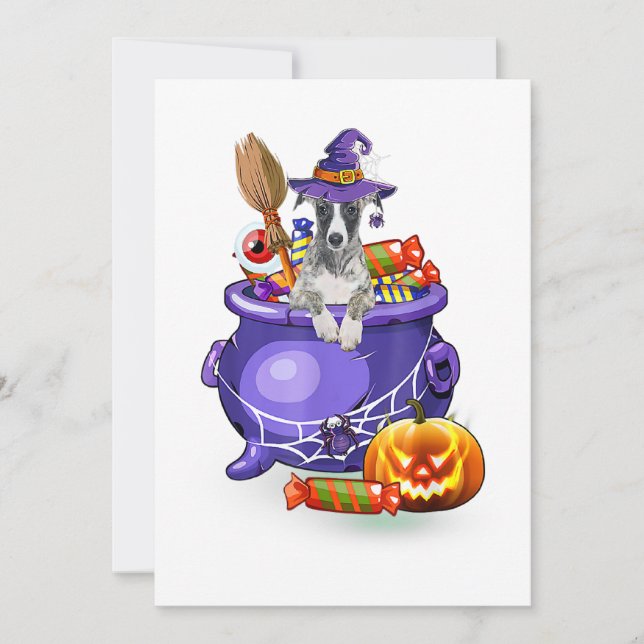 Whippet Dog with witch hat Candy Pumpkin Halloween Holiday Card (Front)