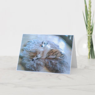 Whippet Dogs Card