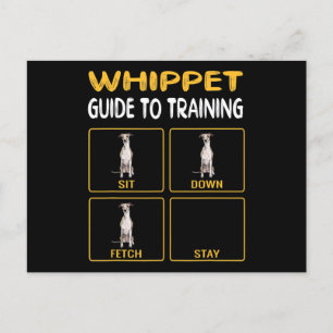 Whippet Guide To Training Dog Obedience Announcement Postcard