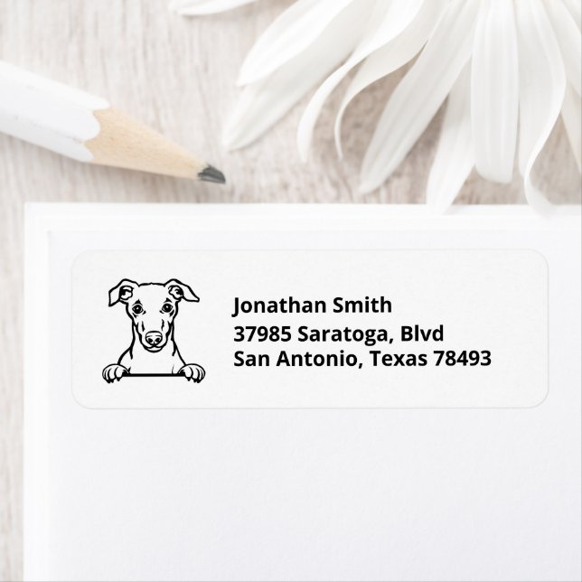 WHIPPET | Image on Return Address (Insitu)