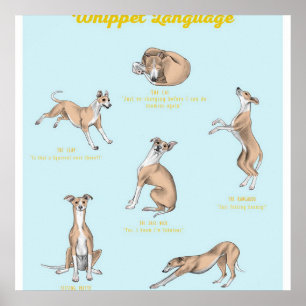 Whippet Language Print   Whippet Canvas