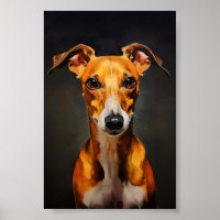 Whippet