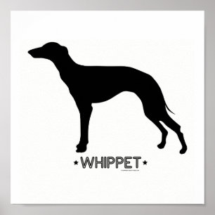 Whippet Print