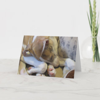 Whippet puppy notecard