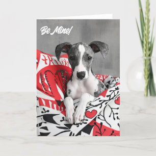 Whippet Puppy Valentine Card