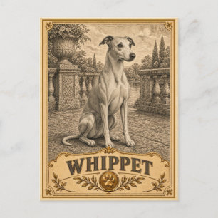 Whippet, Vintage Heritage Dog Postcard