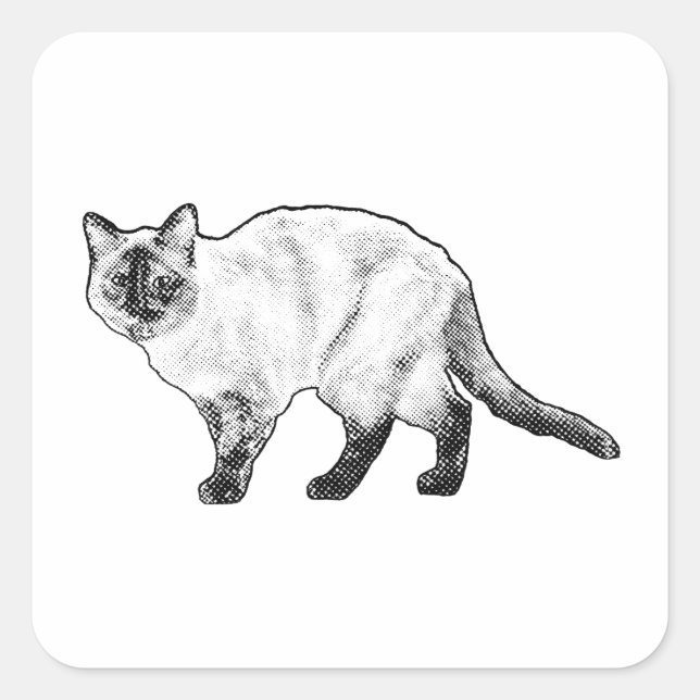 Whisker Fun, Dotted Cat Sticker (Front)