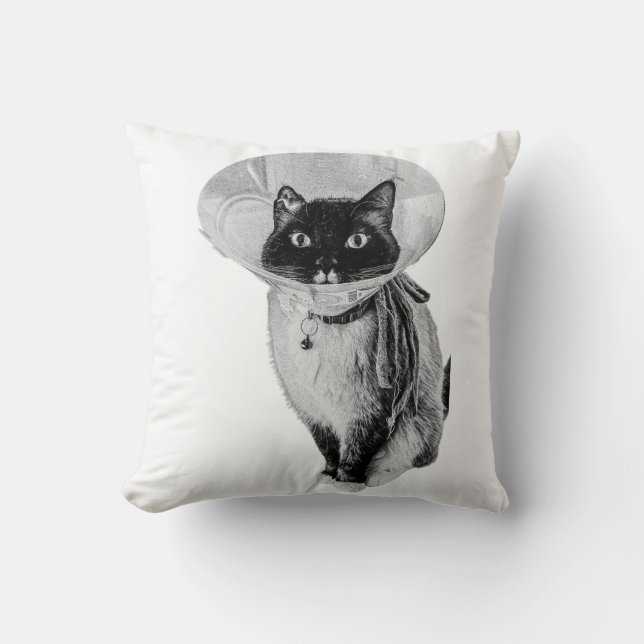 Whiskered Warrior Cushion (Front)