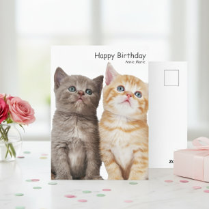 Whiskers and Wishes A Tabby Kittens' Birthday Poem Postcard
