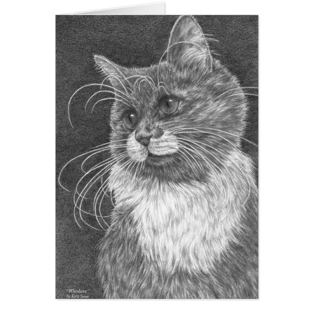 Whiskers Cat Drawing by Kelli Swan (Front)