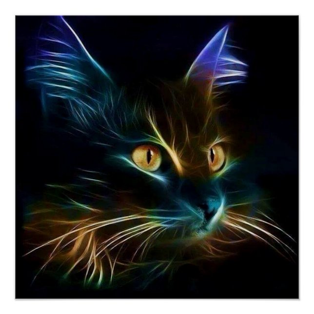 Whiskers Poster (Front)