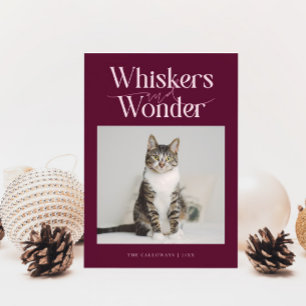 Whiskers & Wonder Cat Photo Cranberry Christmas Holiday Card