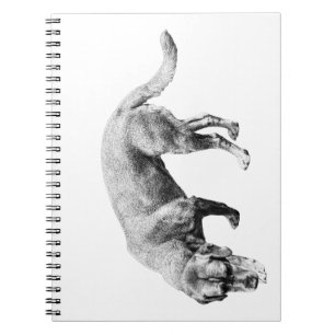 Whispered Trail Notes Notebook
