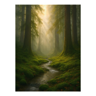 Whispering Forest Photo Print