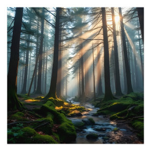 Whispering Forest Photo Print