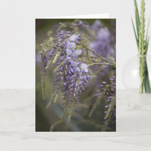 Whispering Wisteria Nature Photography Blank Card