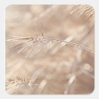 "Whispers of Nature's Beauty" Square Sticker