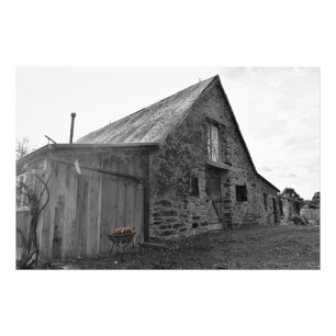 Whispers of the Past Photo Print