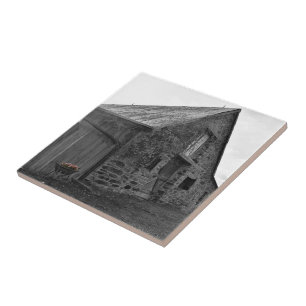Whispers of the Past Plastic Ceramic Tile