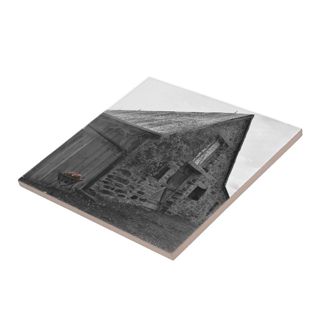 Whispers of the Past Plastic Ceramic Tile (Side)