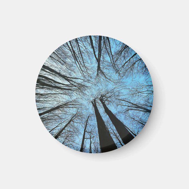 Whispers of the Whisper Forest Magnet (Front)