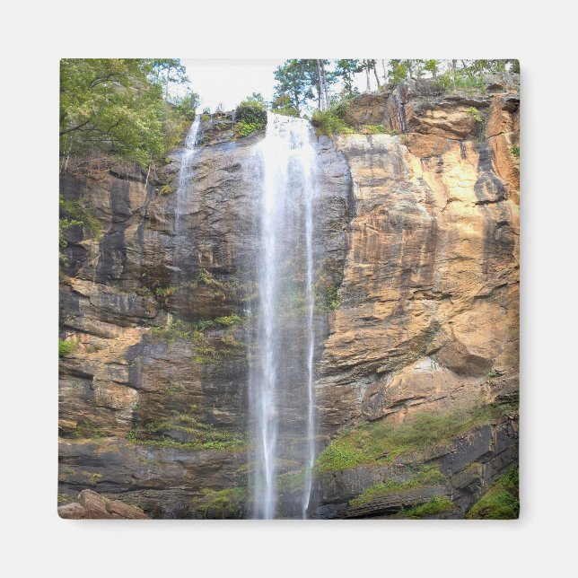 Whispers of Toccoa Falls Magnet (Front)