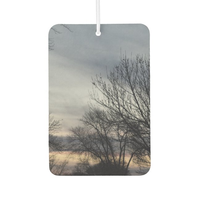 Whispers of Winter  Car Air Freshener (Front)