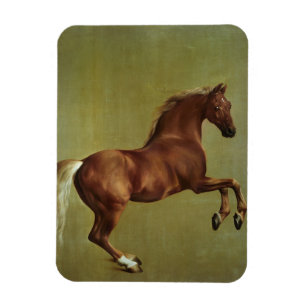 Whistlejacket, 1762 magnet