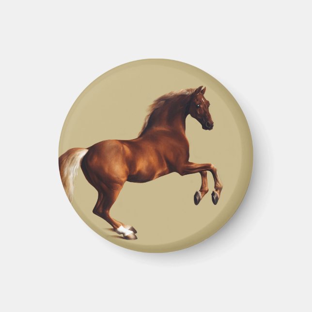 Whistlejacket horse by George Stubbs Magnet (Front)