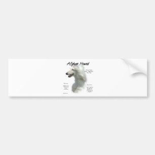 White Afghan Hound History Bumper Sticker