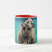 White Afghan Hound