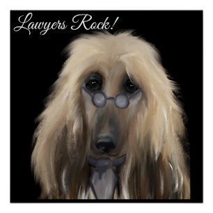 White Afghan Hound Poster