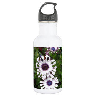White African Daisy 532 Ml Water Bottle