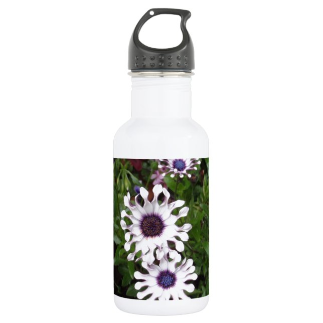 White African Daisy 532 Ml Water Bottle (Front)