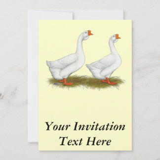 White African Geese Invitation