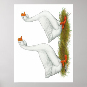 White African Geese Poster