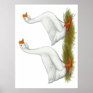 White African Geese Poster