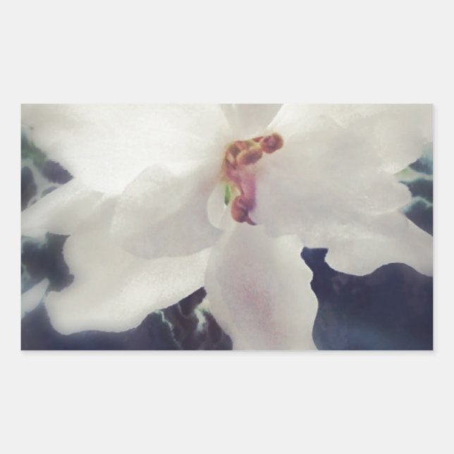 White African Violet Flower Rectangular Sticker (Front)