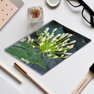 White Agapanthus Buds Floral Notebook