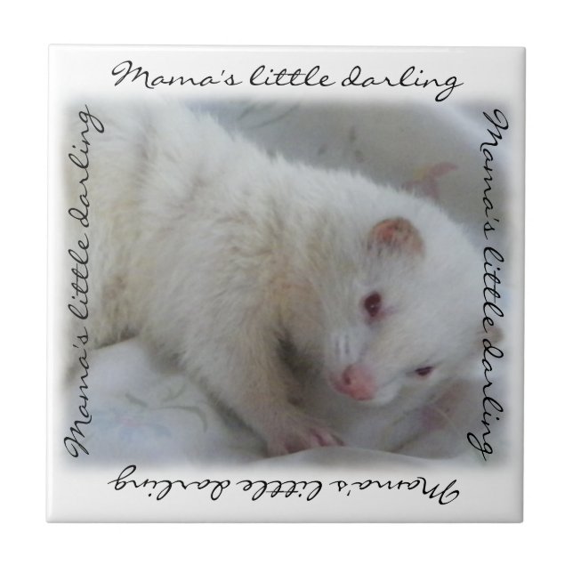 White Albino Ferret Picture Tile (Front)